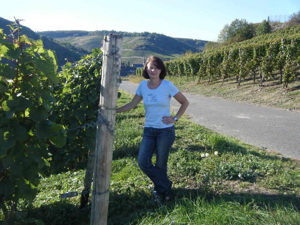 Ferienweingut Hensler Hotel Briedel Bilik gambar