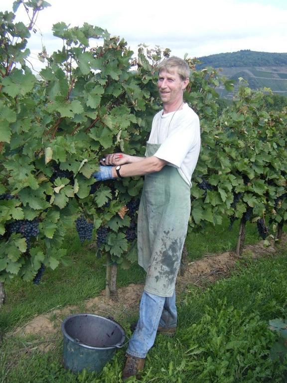 Ferienweingut Hensler Hotel Briedel Luaran gambar